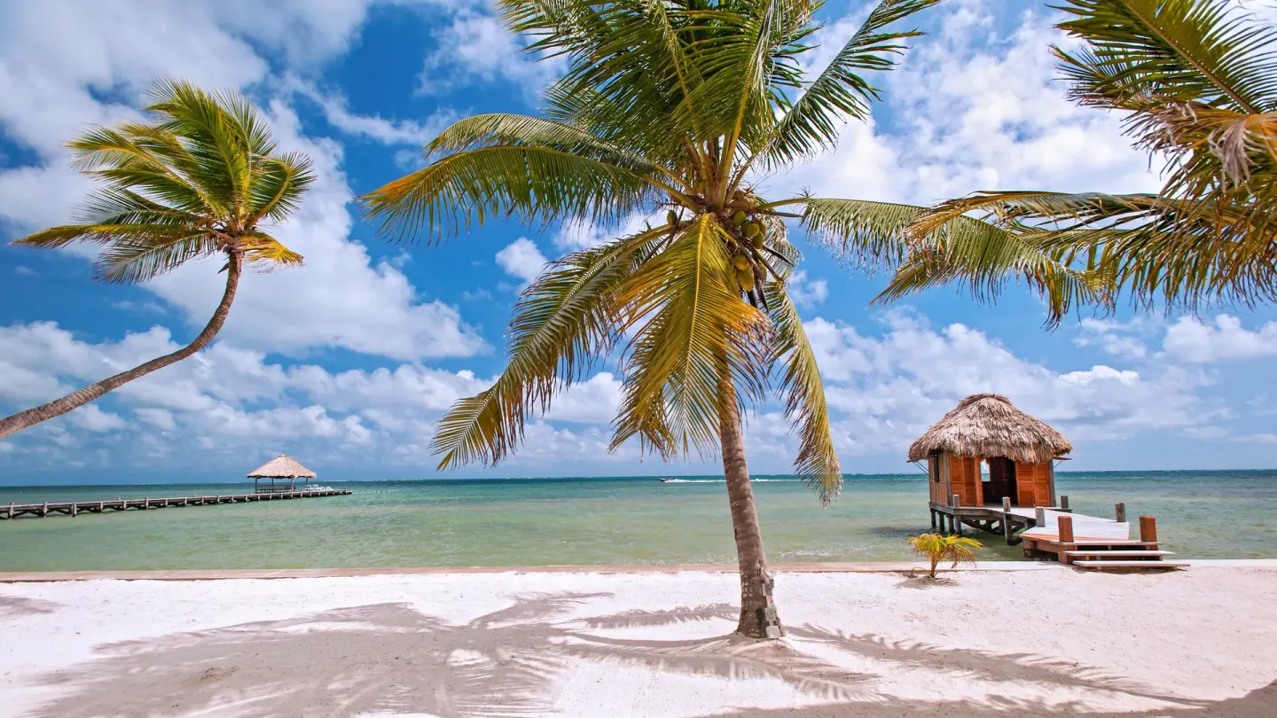 Palm-lined beach with piers and turquoise water at Victoria House Resort & Spa.