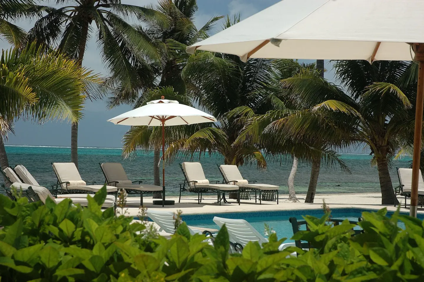 Poolside loungers under umbrellas by the beach at Victoria House Resort & Spa.