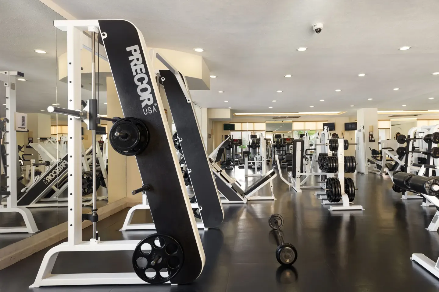 Weight machines and free weights in the fitness center at Villa del Arco Beach Resort & Spa Cabo San Lucas.