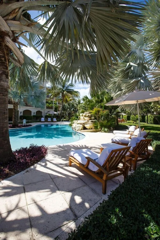 Poolside loungers under palm trees at Villa del Mar.