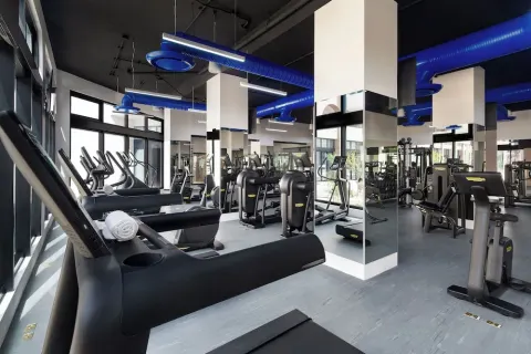 Fitness center with treadmills and strength machines at Villa La Valencia Los Cabos Beach Resort & Spa.