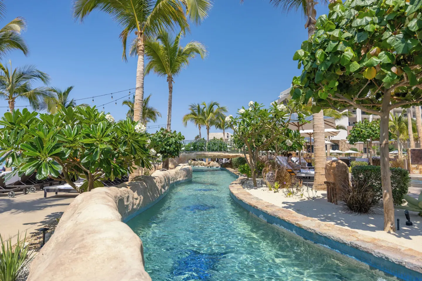 Palm-lined lazy river under a blue sky at Villa La Valencia Los Cabos Beach Resort & Spa.