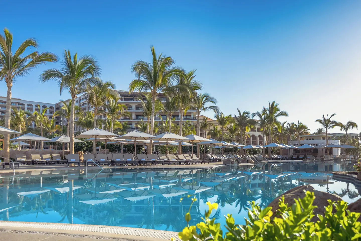 Palm-lined pool with umbrellas and resort buildings at Villa La Valencia Los Cabos Beach Resort & Spa.