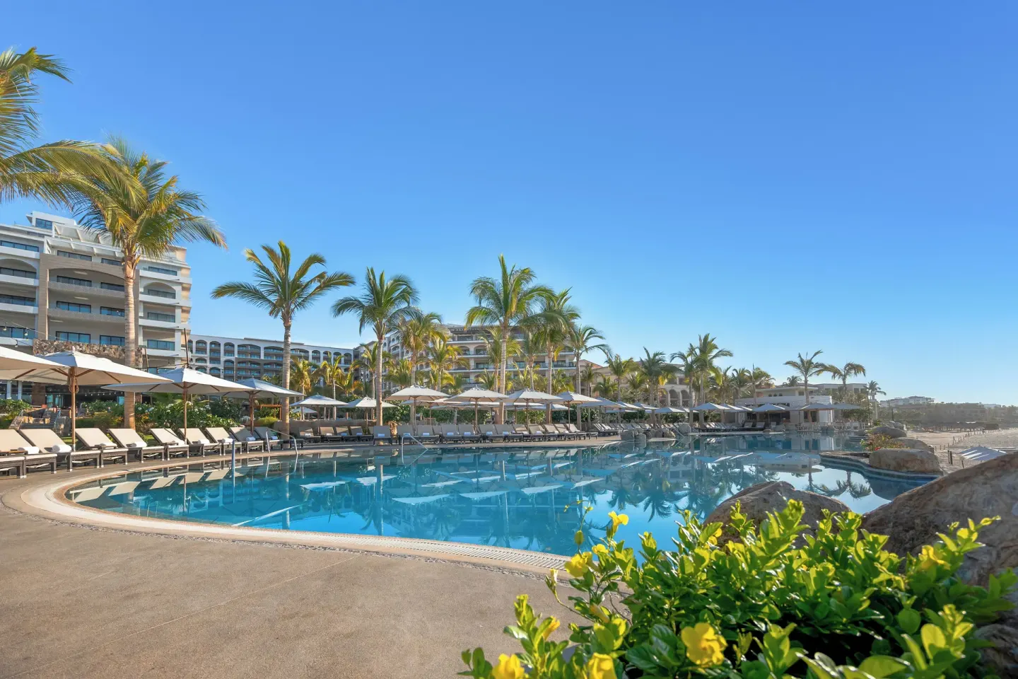 Pool deck, palms, and beachside grounds at Villa La Valencia Los Cabos Beach Resort & Spa.