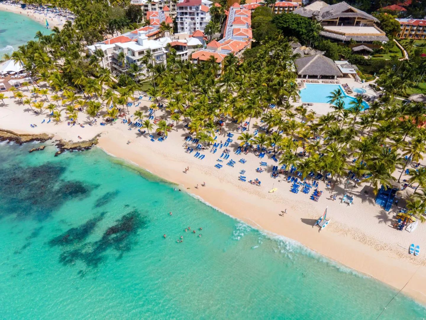 Aerial view of the beach, pool, palms, and resort buildings at Viva Dominicus Palace.