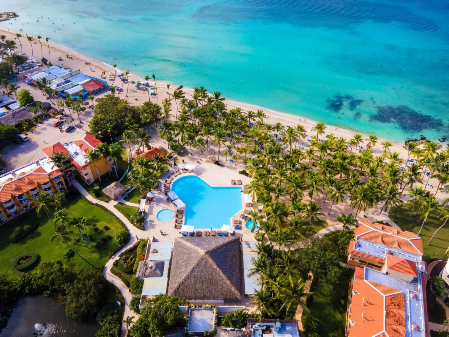 Aerial view of the pool, palms, gardens, and beach at Viva Dominicus Palace.