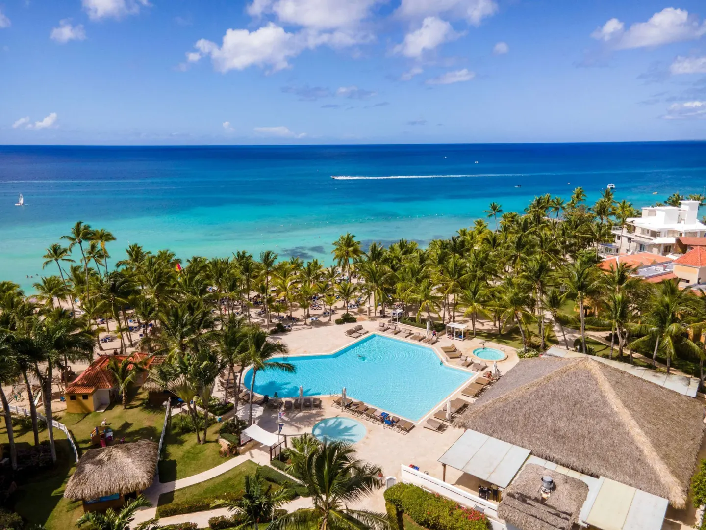 Aerial view of the beachfront pool and palm-lined shore at Viva Dominicus Palace.