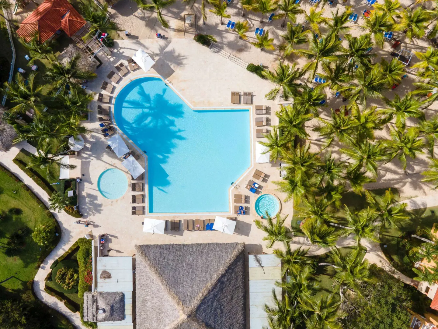 Top-down aerial view of the pool area and palm groves at Viva Dominicus Palace.