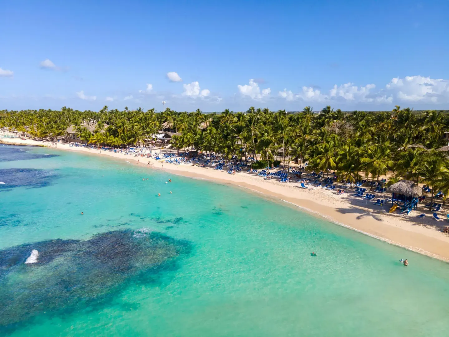 Palm-lined beach with blue loungers and clear shallow water at Viva Dominicus Palace.
