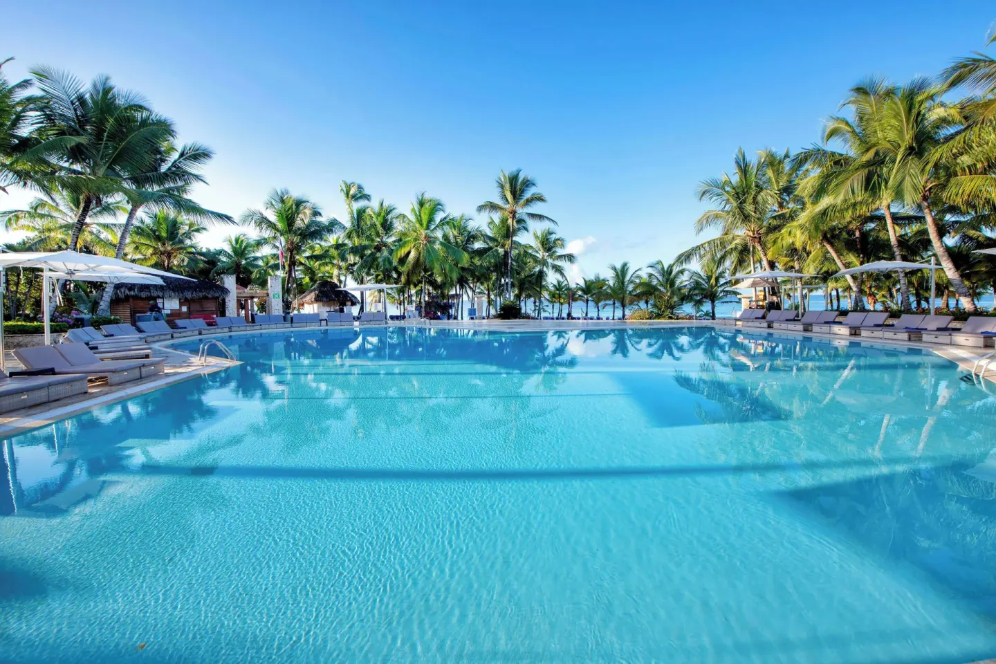Reflective swimming pool lined with palms and loungers at Viva Dominicus Palace.