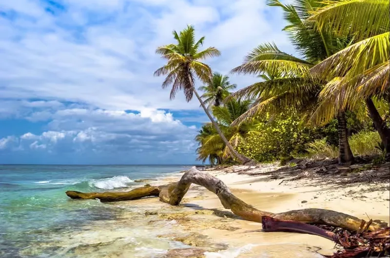 Monumento Natural Punta Bayahibe 5 Min Drive