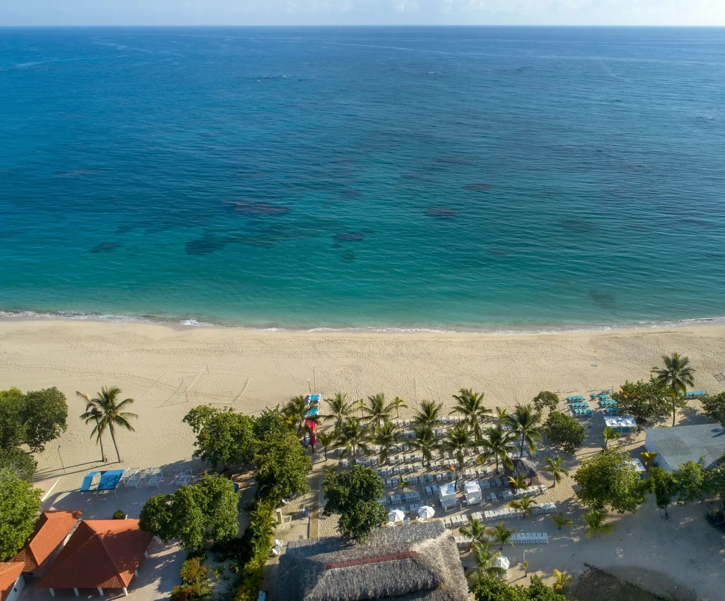Aerial view of the sandy beach and turquoise shoreline at Viva Heavens.