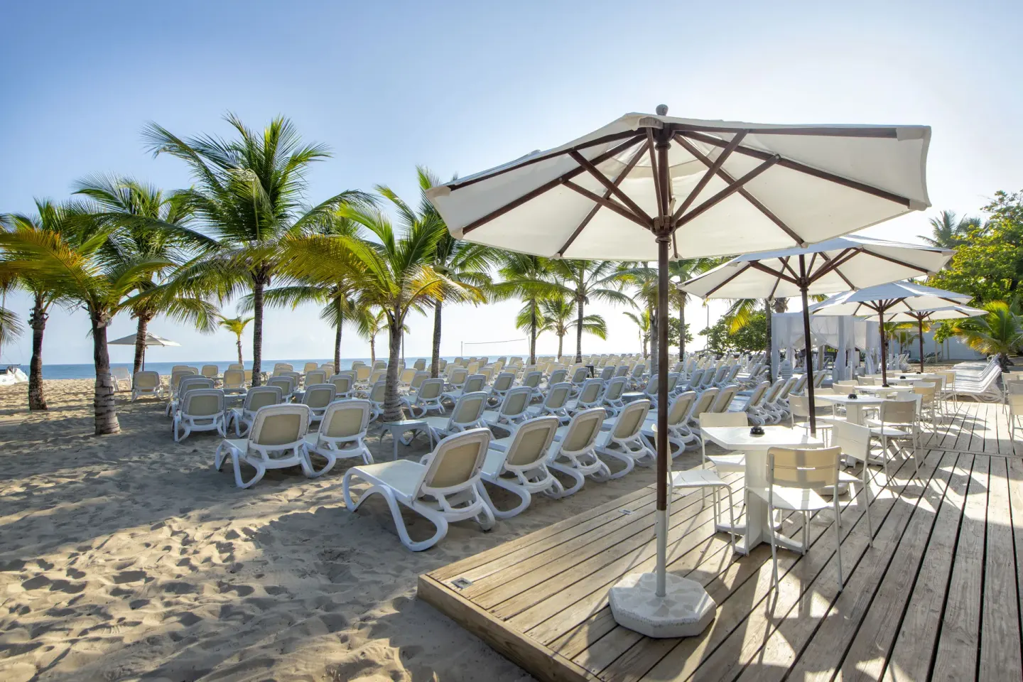Beach deck with umbrellas and loungers beside palm-shaded sand at Viva Heavens.