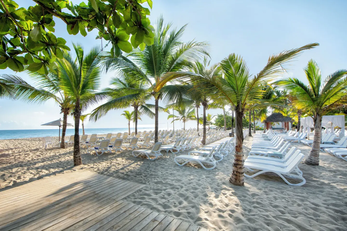 Palm trees, white loungers, and a wooden walkway on the beach at Viva Heavens.