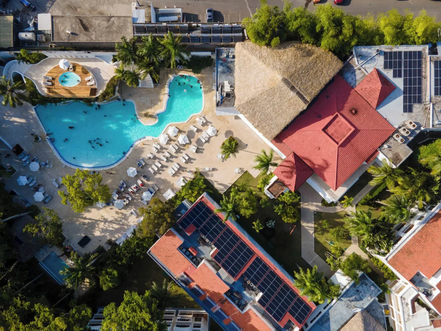 Overhead view of the Viva Heavens pool, sundeck, palms, and thatched-roof building.
