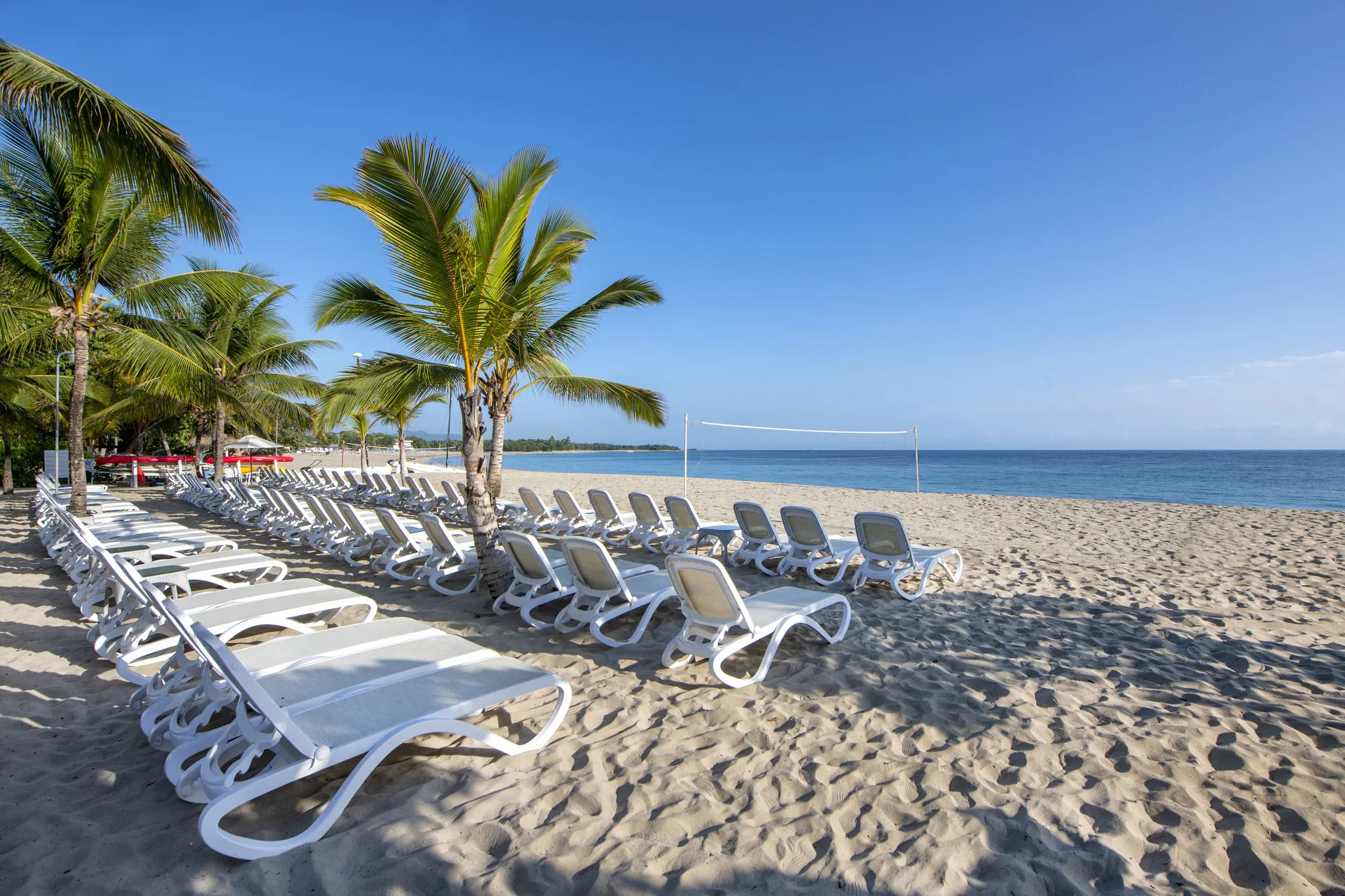 Beach loungers under palm trees beside calm blue water at Viva Heavens.