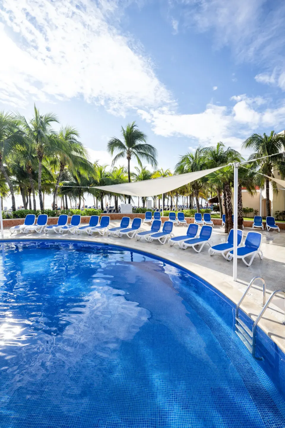 Curved pool edge with blue lounge chairs and palm trees at Viva Maya.