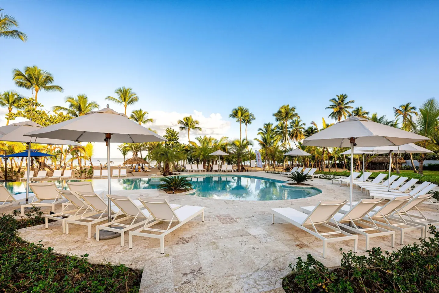 White loungers and umbrellas surround a palm-framed pool at Viva Miches.