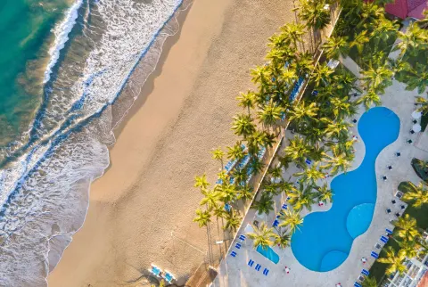 Top-down view of beach, palms, and pool at Viva Tangerine.