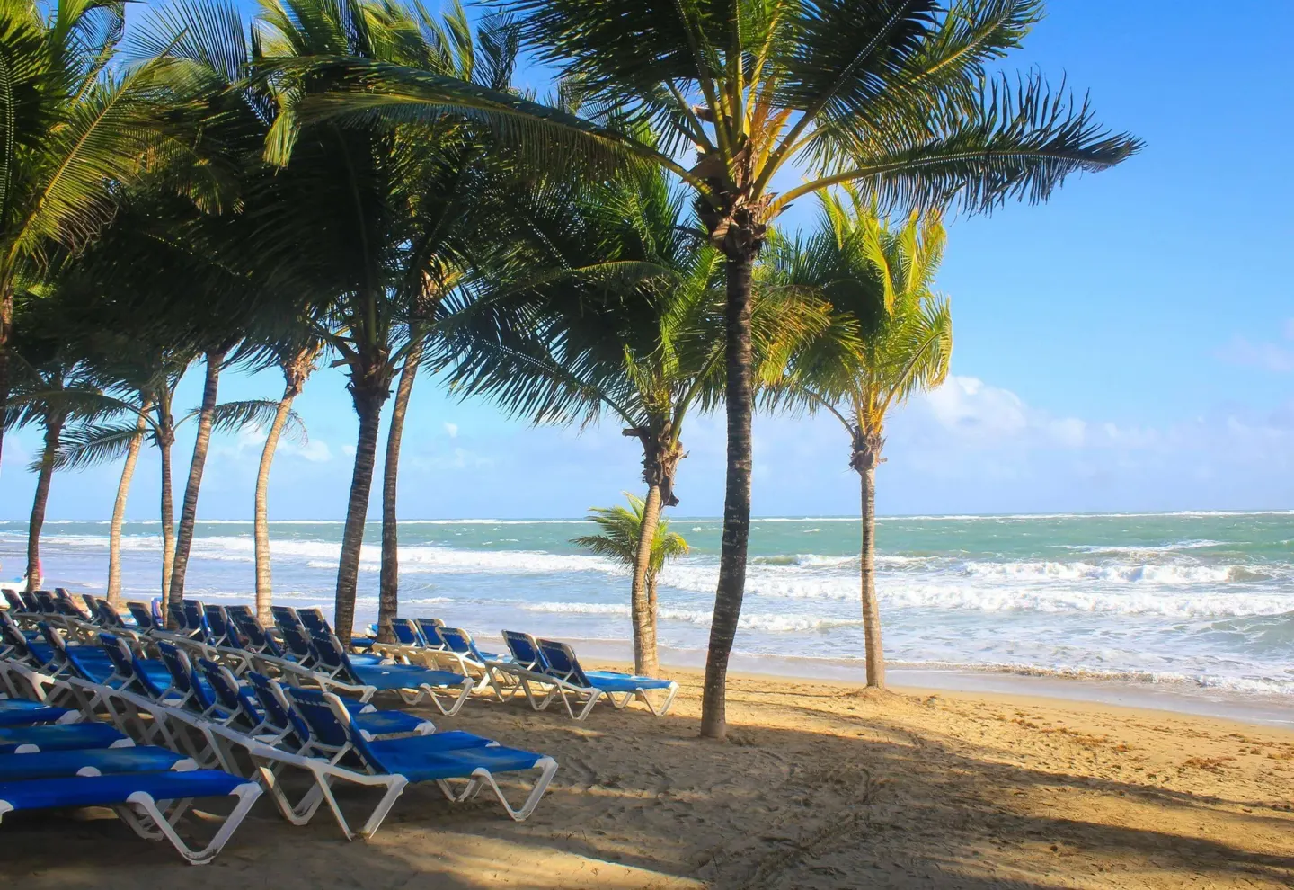 Blue lounge chairs under palm trees on the beach at Viva Tangerine.