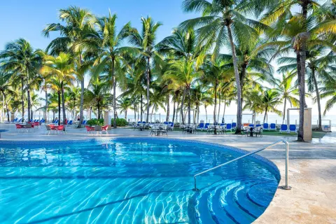 Pool edge, steps, palm trees, and lounge seating at Viva Tangerine.