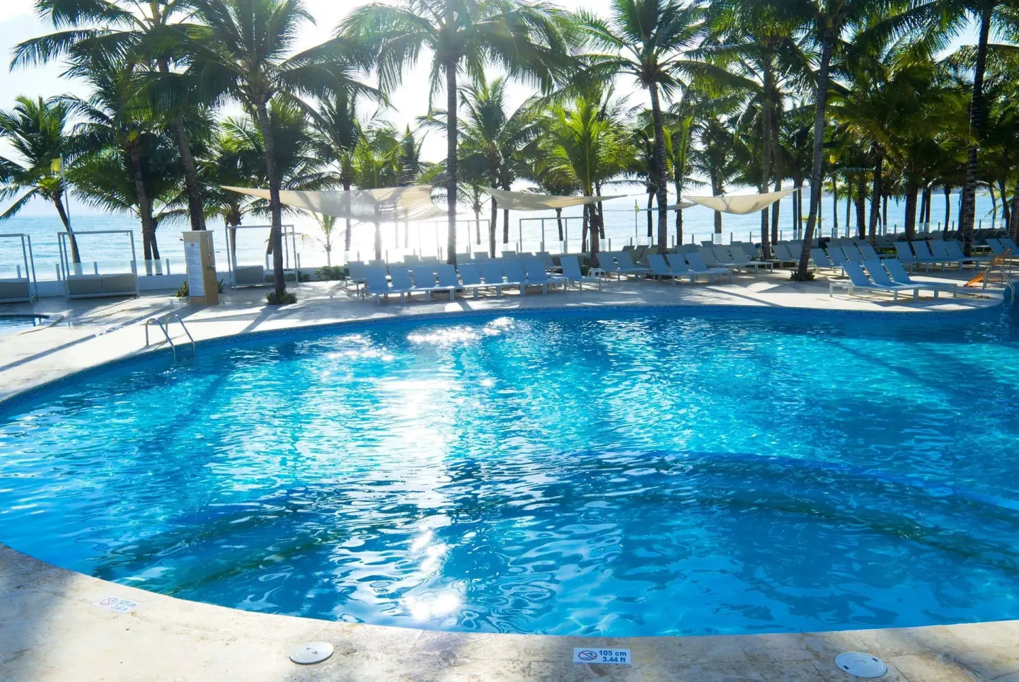 Sunlit pool with loungers, palms, and ocean backdrop at Viva Tangerine.