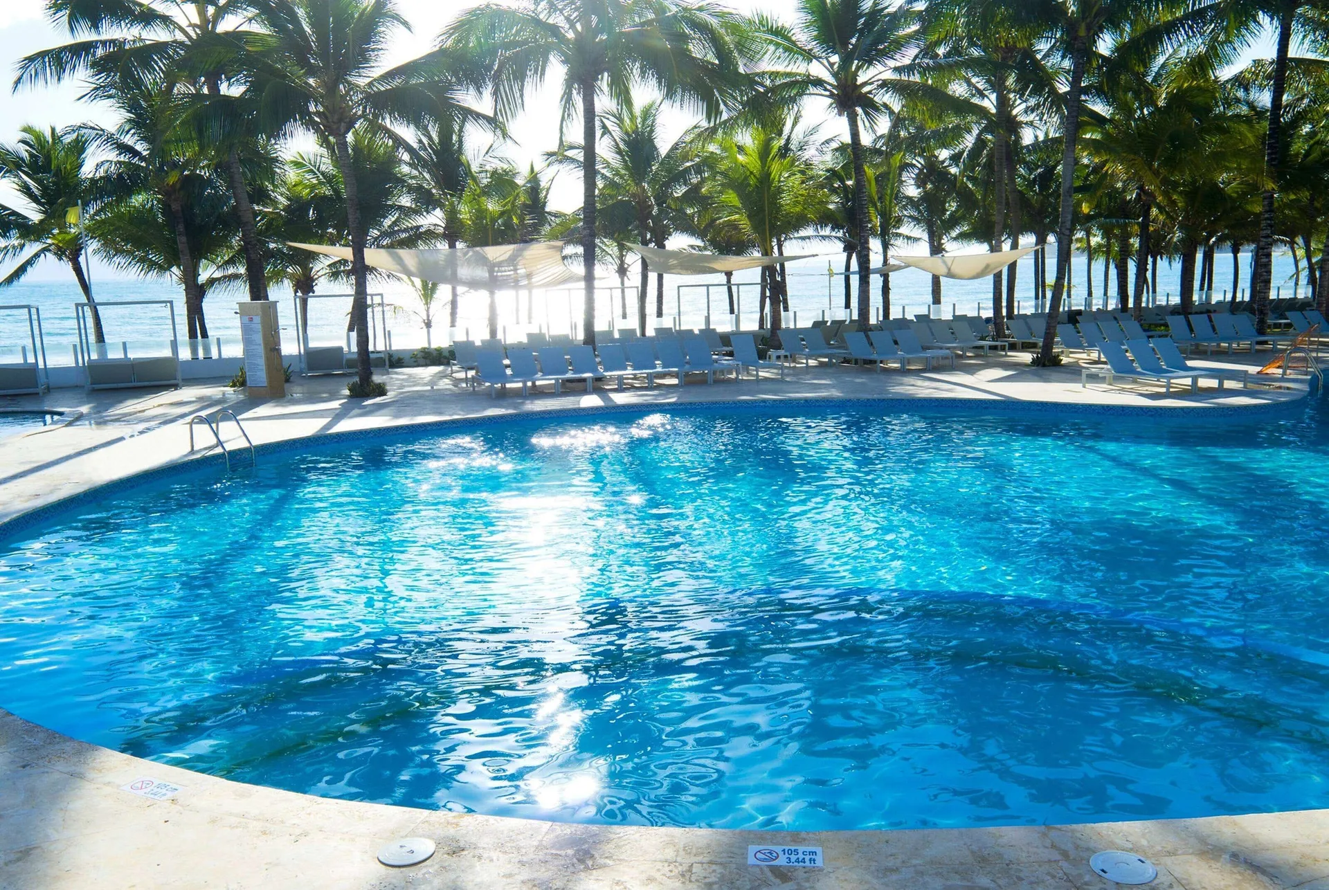 Sunlit pool with loungers, palms, and ocean backdrop at Viva Tangerine.