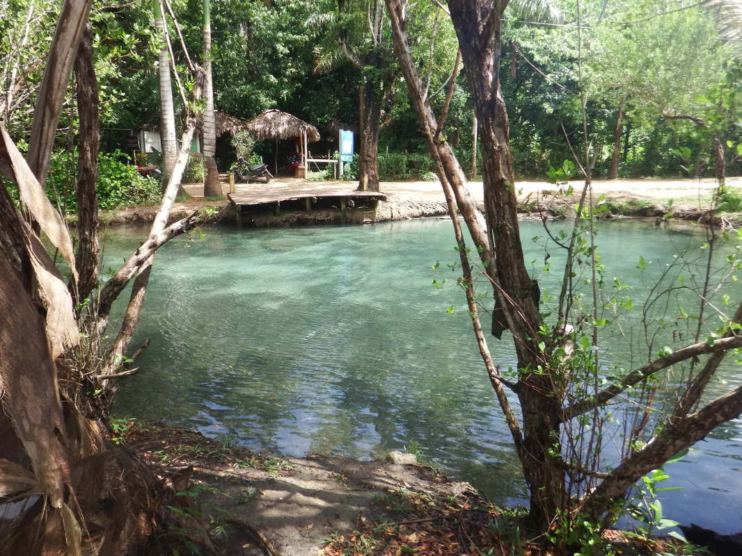 El Choco National Park 5 Min Drive