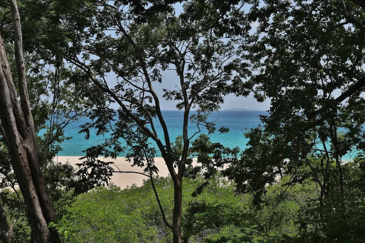Beach and turquoise ocean seen through trees at W Costa Rica - Reserva Conchal.