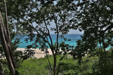 Beach and turquoise ocean seen through trees at W Costa Rica - Reserva Conchal.