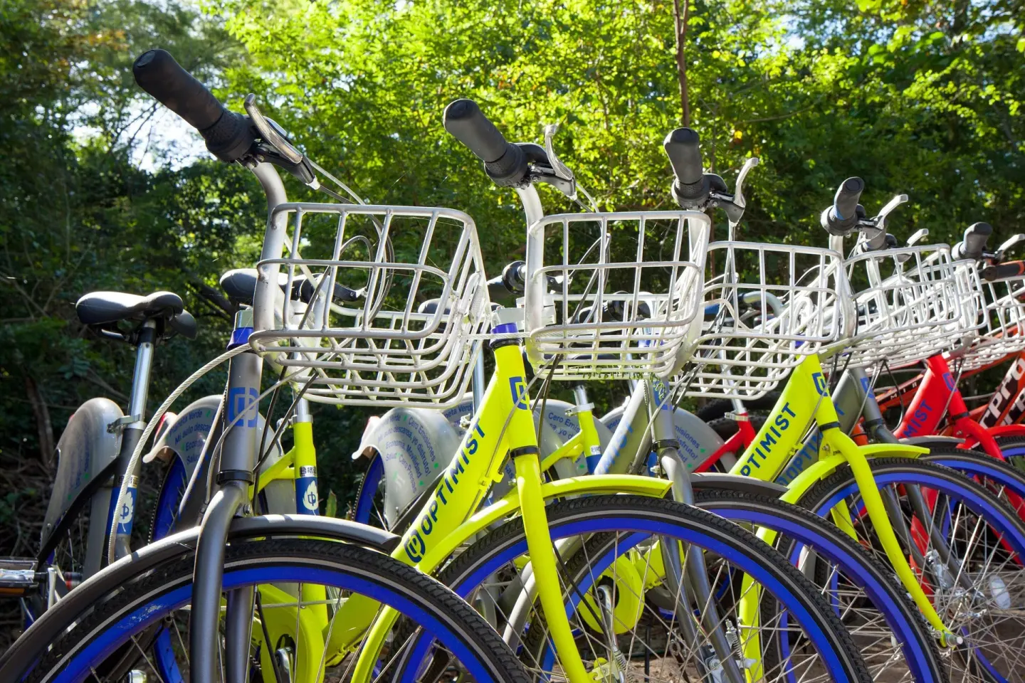 Resort bicycles with front baskets lined up outdoors at W Costa Rica - Reserva Conchal.