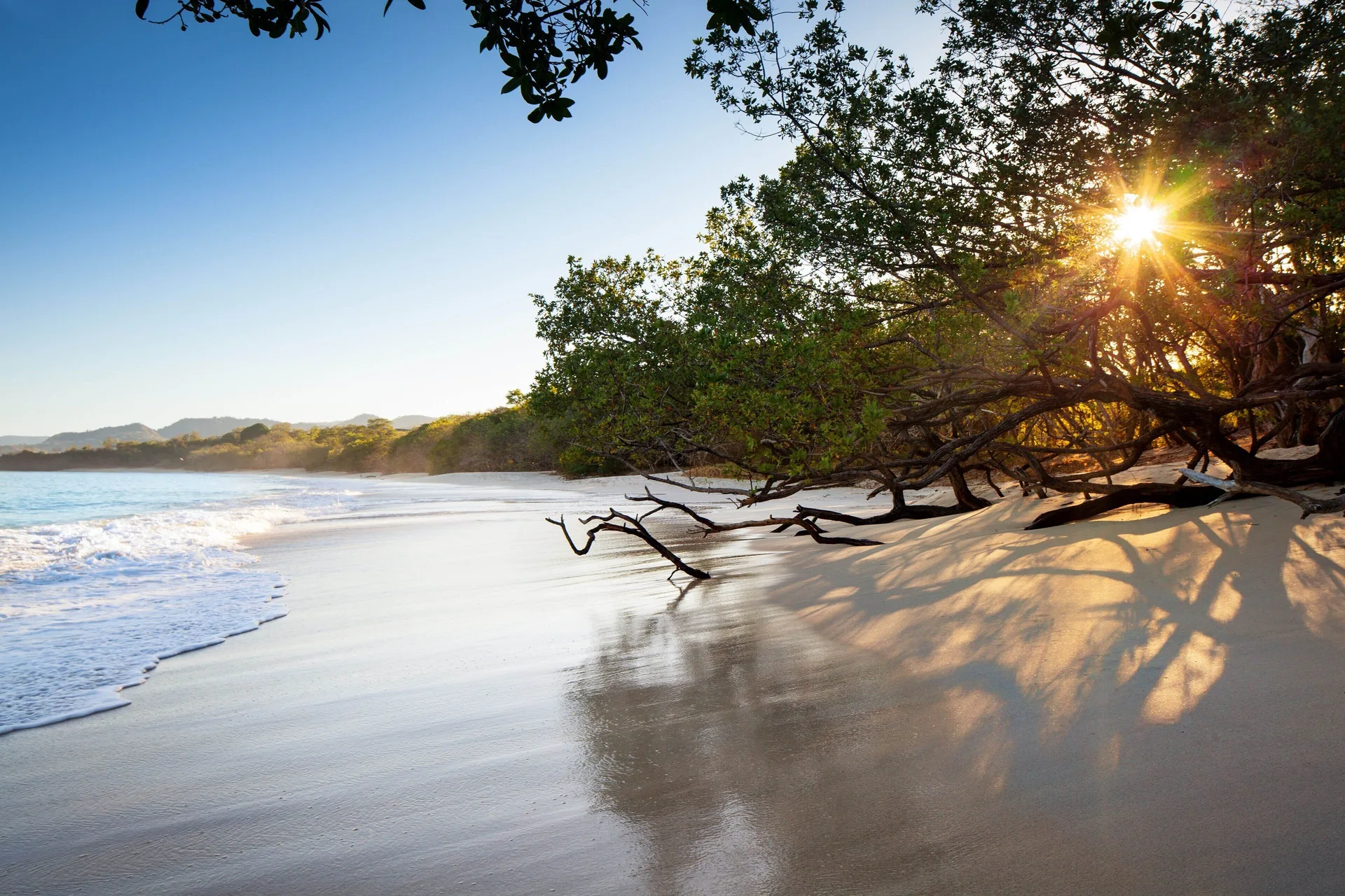 Sunlit beach with overhanging trees and wet sand at W Costa Rica - Reserva Conchal.