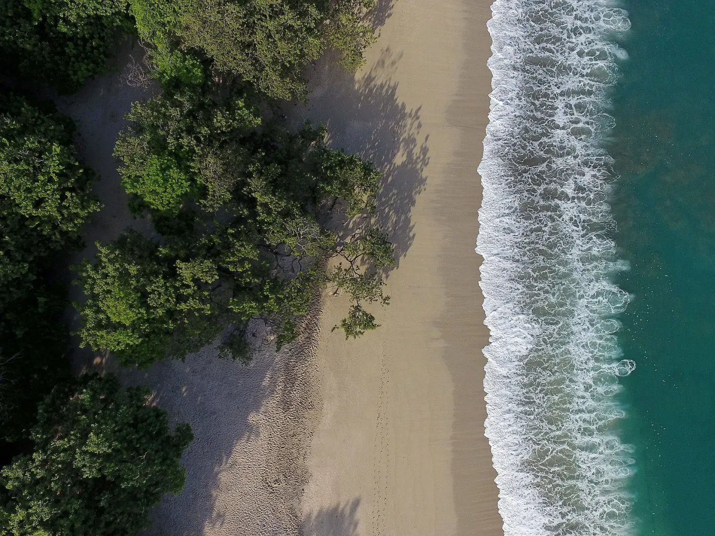 Top-down aerial of surf, sand, and tree shadows at W Costa Rica - Reserva Conchal.