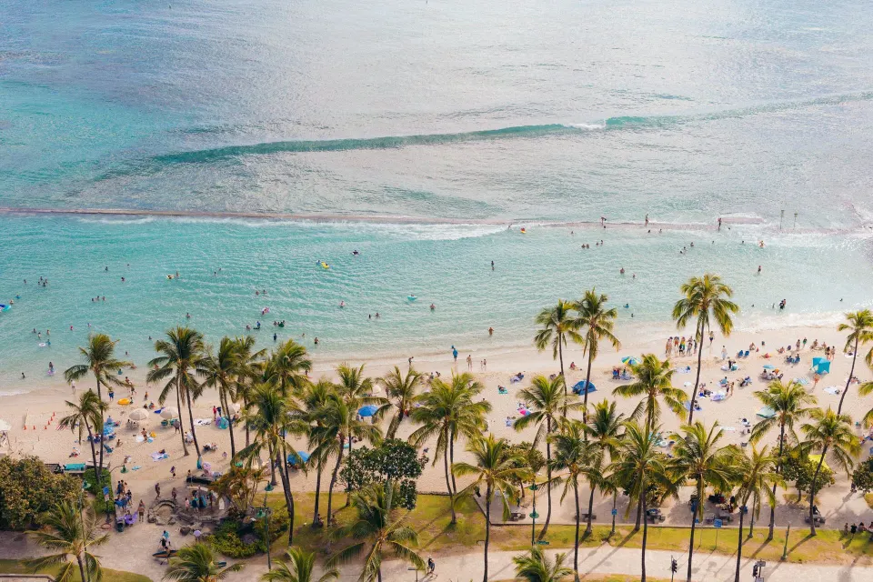 Waikiki Beach Marriott Resort & Spa and palm-lined sand near Waikiki Beach Marriott Resort & Spa.