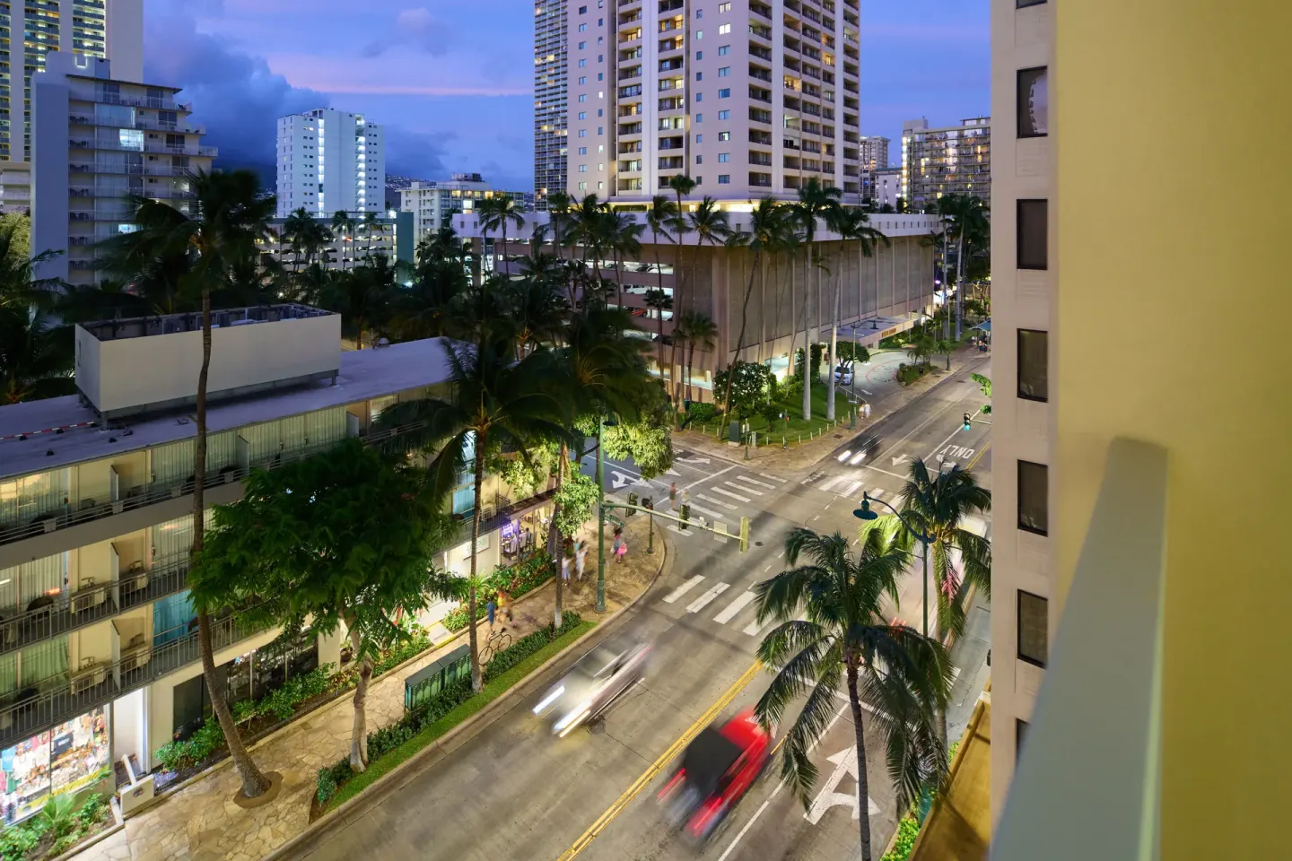 Evening city view with lit streets and palm trees from Waikiki Malia.