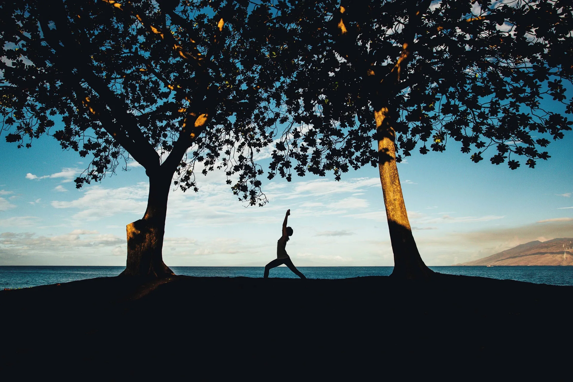 Yoga silhouette under oceanfront trees at Wailea Beach Resort - Marriott, Maui.