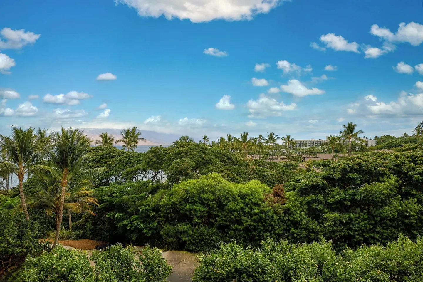 Garden and palm view from a junior suite balcony at Wailea Beach Resort - Marriott, Maui.