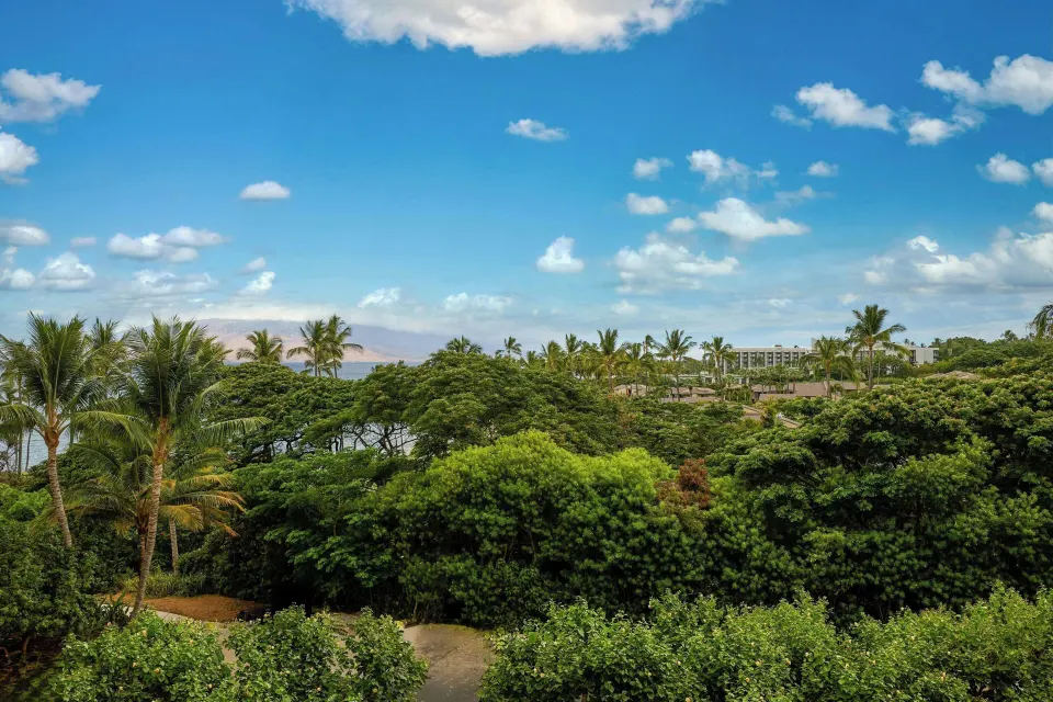 Garden and palm view from a junior suite balcony at Wailea Beach Resort - Marriott, Maui.
