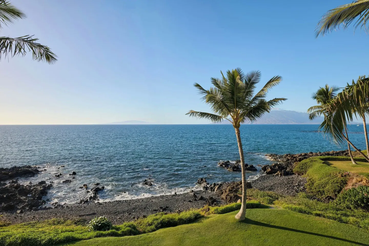 Oceanfront view of palm trees, lava rocks, and water at Wailea Beach Resort - Marriott, Maui.