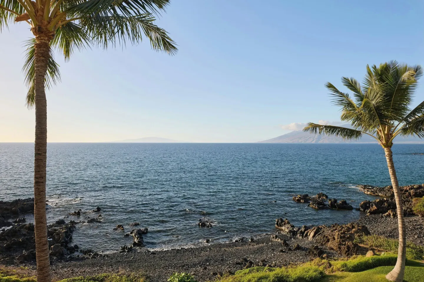 Ocean view with palms and lava rock shoreline at Wailea Beach Resort - Marriott, Maui.