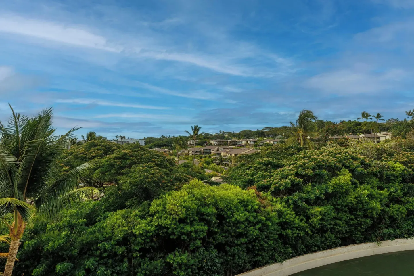 Garden and treetop view from a room balcony at Wailea Beach Resort - Marriott, Maui.