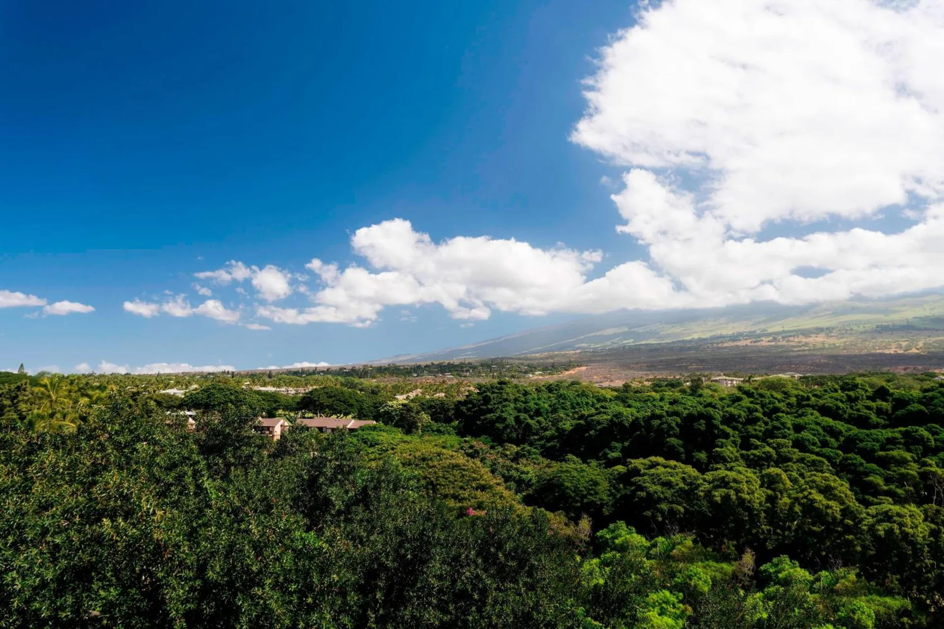 Room with Sofa Bed Garden View Balcony at Wailea Beach Resort - Marriott, Maui with tropical garden views, mountain backdrop, and distant ocean glimpses.