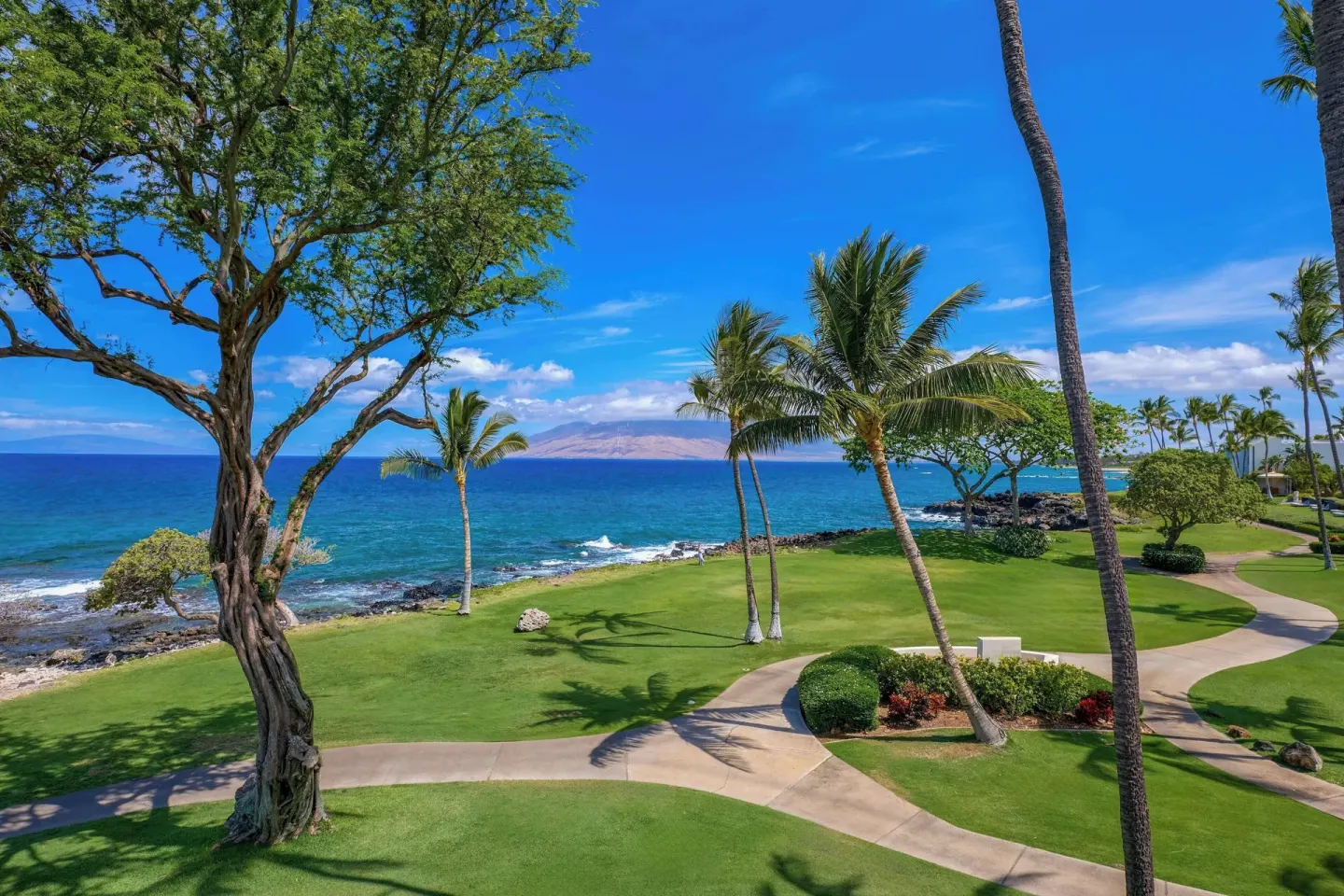 Oceanfront lawn and palm view from Wailea Beach Resort - Marriott, Maui with blue water and island horizon.