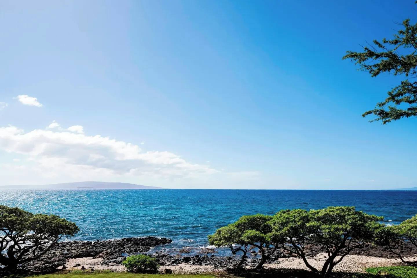 Oceanfront view at Wailea Beach Resort - Marriott, Maui with rocky shore, trees and sparkling blue ocean.