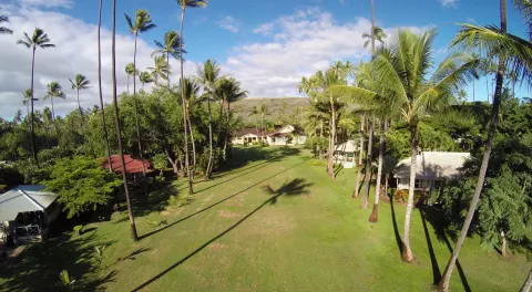 Aerial view of cottage grounds and palm trees at Waimea Plantation Cottages.