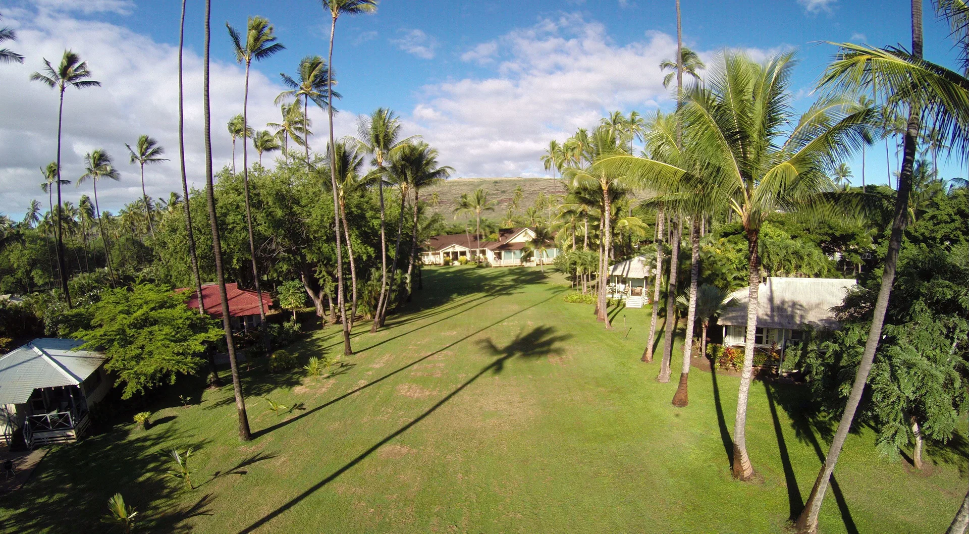 Aerial view of cottage grounds and palm trees at Waimea Plantation Cottages.