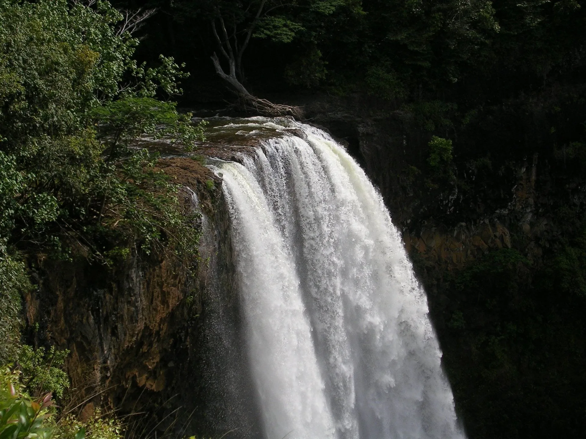 Waterfall dropping through forest near Waimea Plantation Cottages.