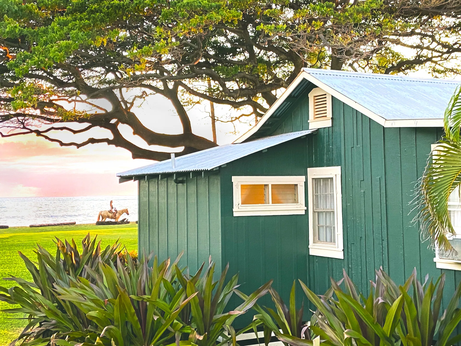 Green seaside cottage with ocean and a rider on horseback at Waimea Plantation Cottages.