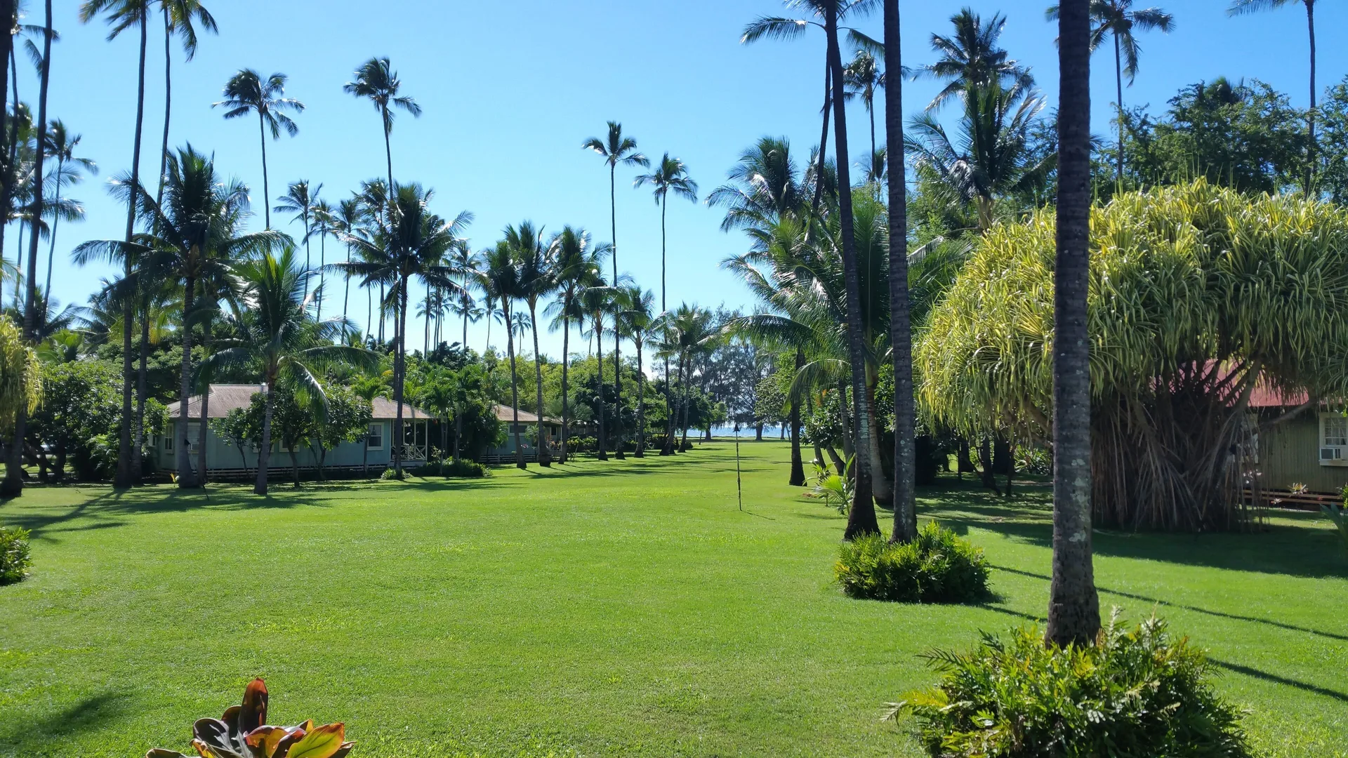 Palm-lined resort lawn with cottages at Waimea Plantation Cottages.