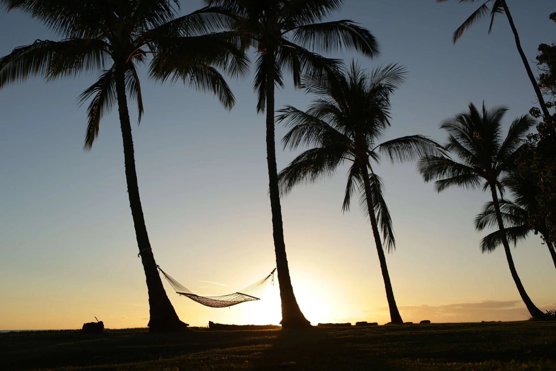 Hammock between palm trees at sunset by Waimea Plantation Cottages.
